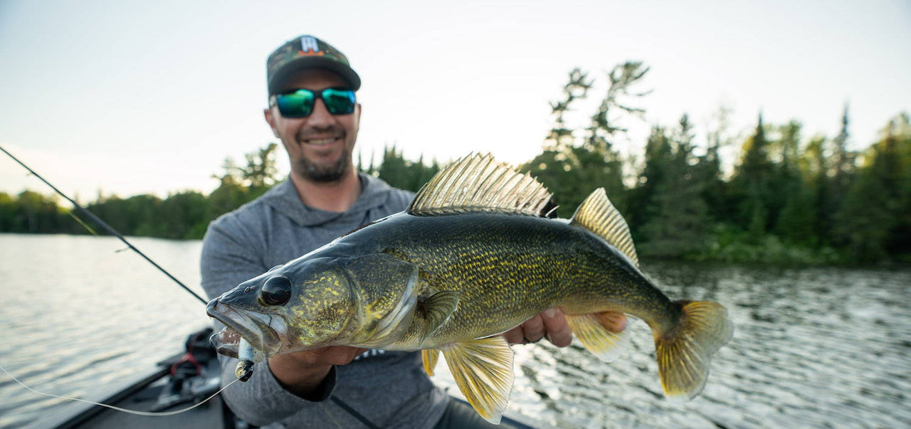 Fish Attractor Facts: Provoking Predator Fish to Bite