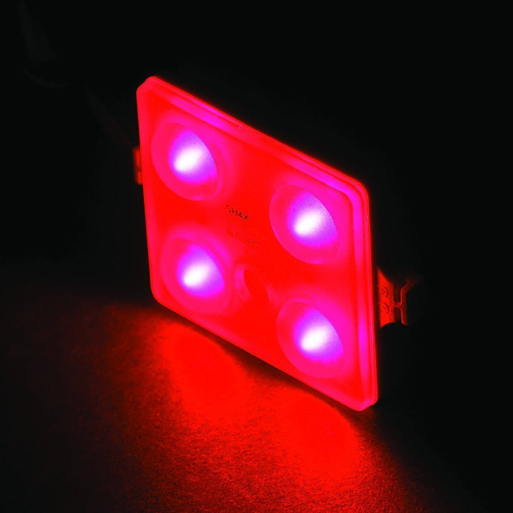 TH Marine Gear Red LED Module Courtesy Lights - QUAD