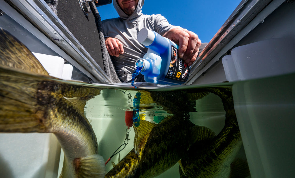 Best Practices for Fish Care: Ensuring a Healthy Catch from Lake to Weigh-In