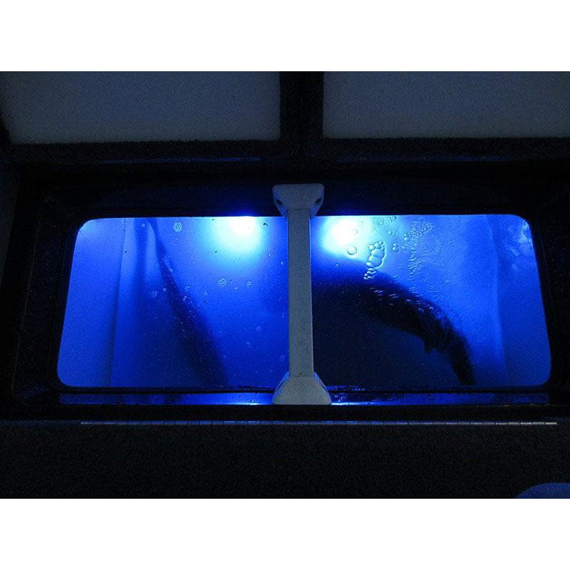 T-H Marine BLUEWATERLED Quad Beam Livewell / Cooler LED Light Pair - Submersible