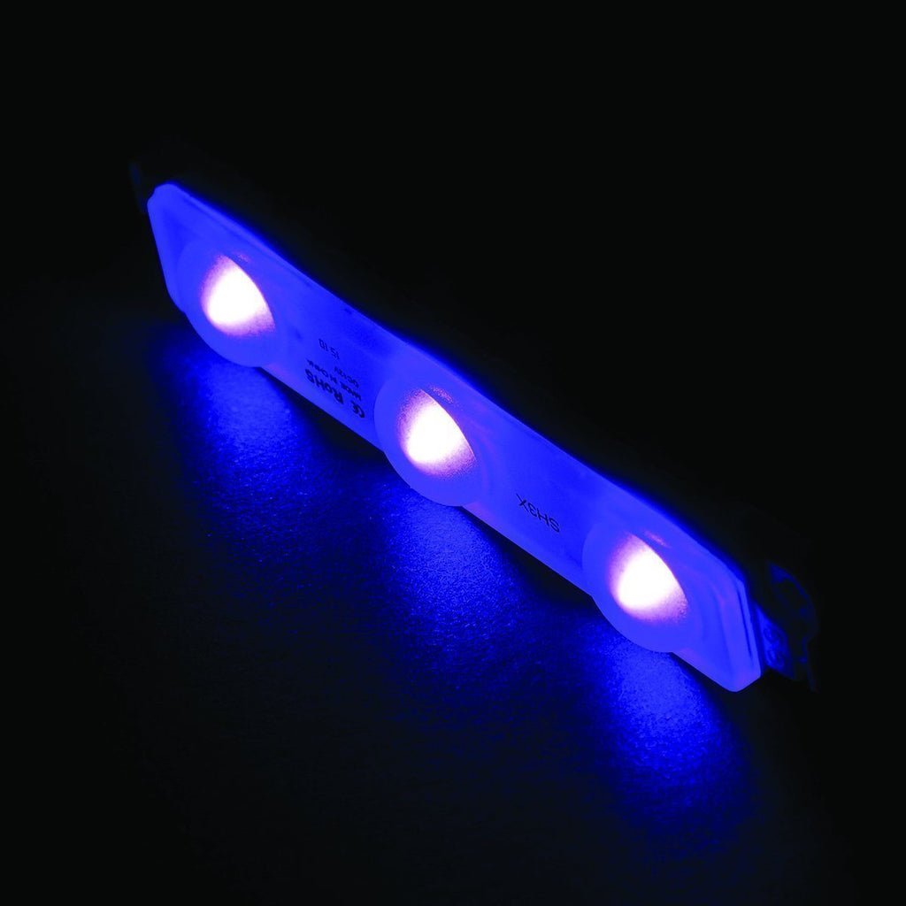 TH Marine Gear Blue LED Module Courtesy Lights - TRIPLE