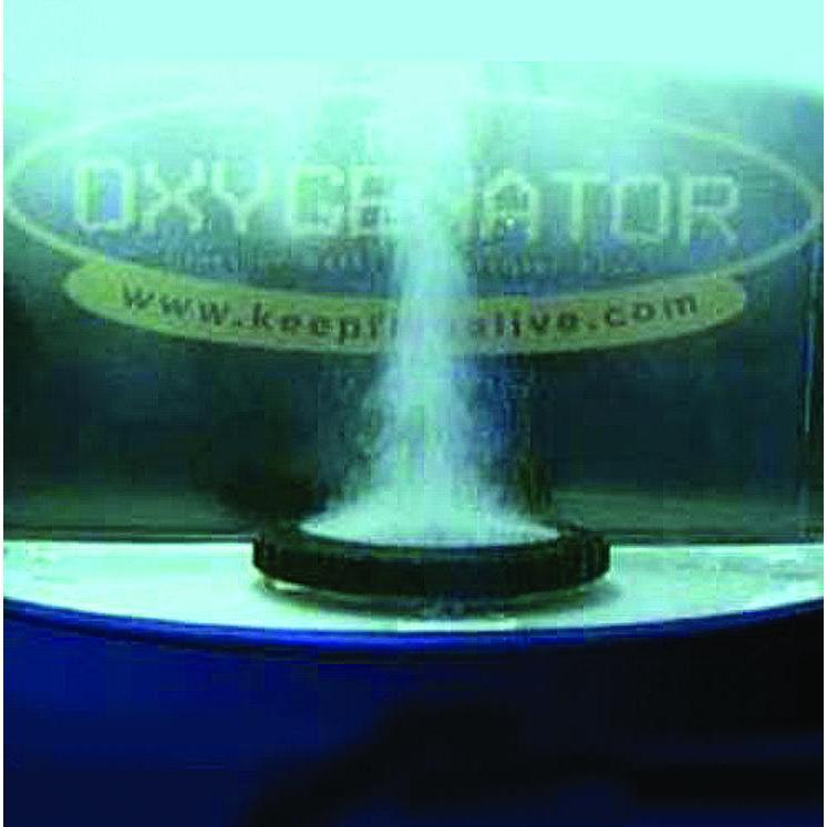 TH Marine The OXYGENATOR Livewell Oxygen Generator